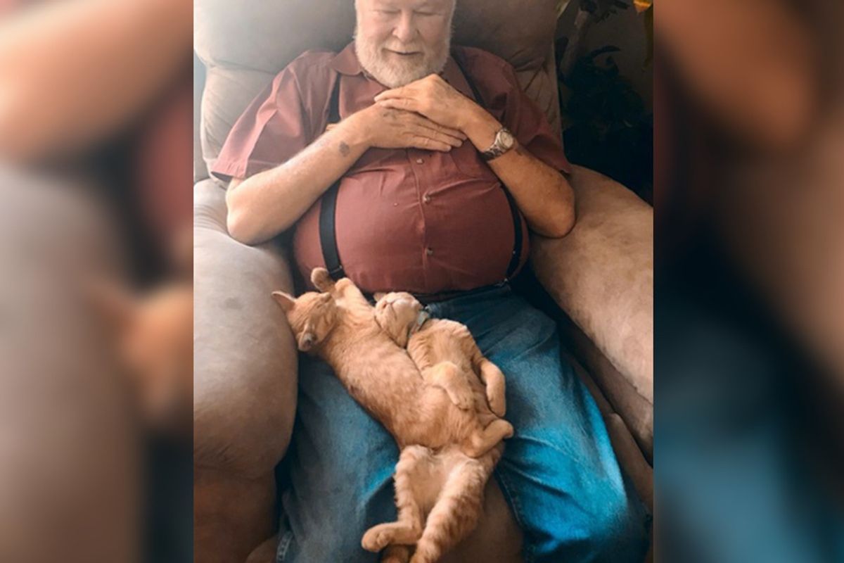 Ginger Brothers Take a Liking to Their Foster Grandpa and Won’t Let Him Go In These Adorable Photos