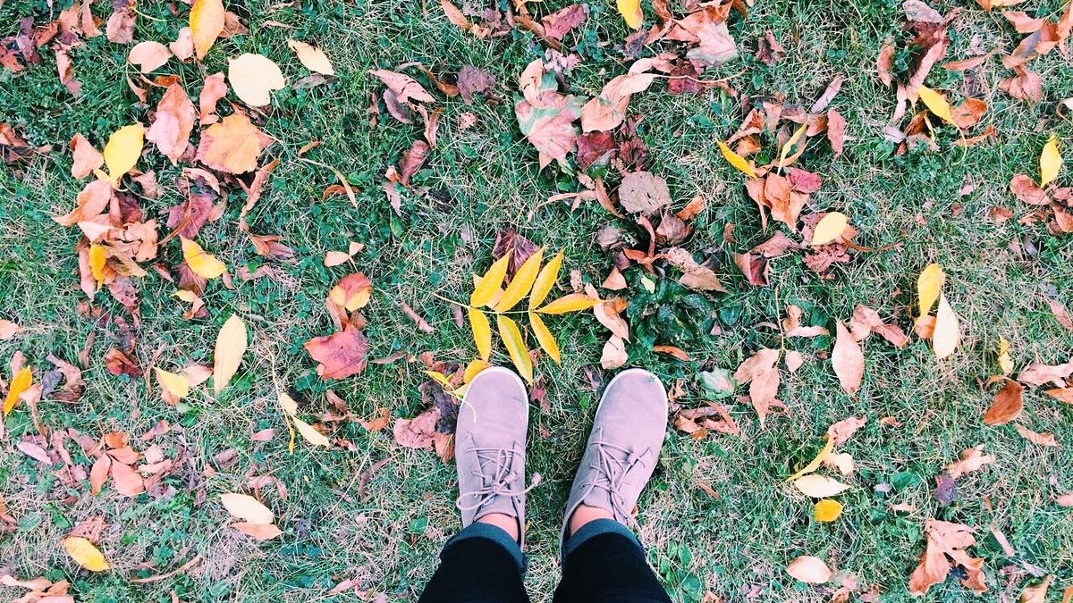 11 Cheap Date Ideas For The Fall