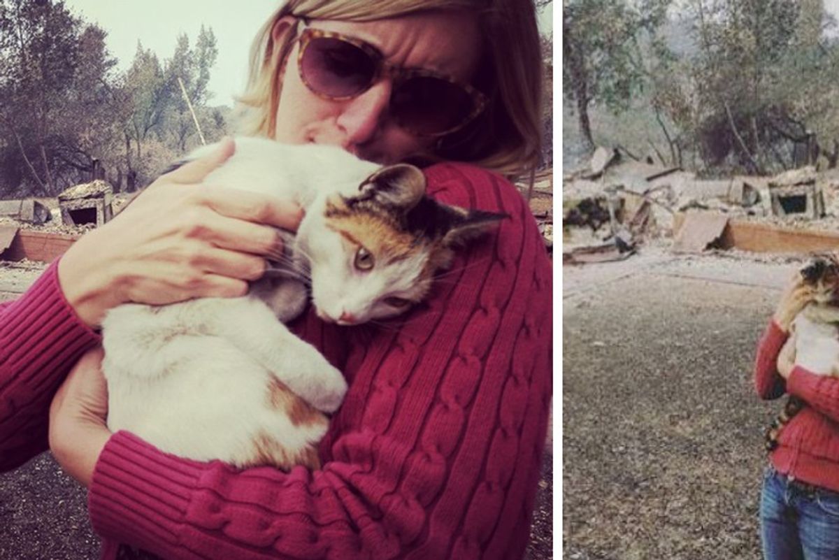 Woman’s Home Completely Destroyed in Wildfire But She Finds Her Cat—“It was really surreal!”