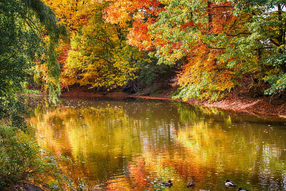 The 5 Most Scenic Places For Fall Foliage On The East Coast