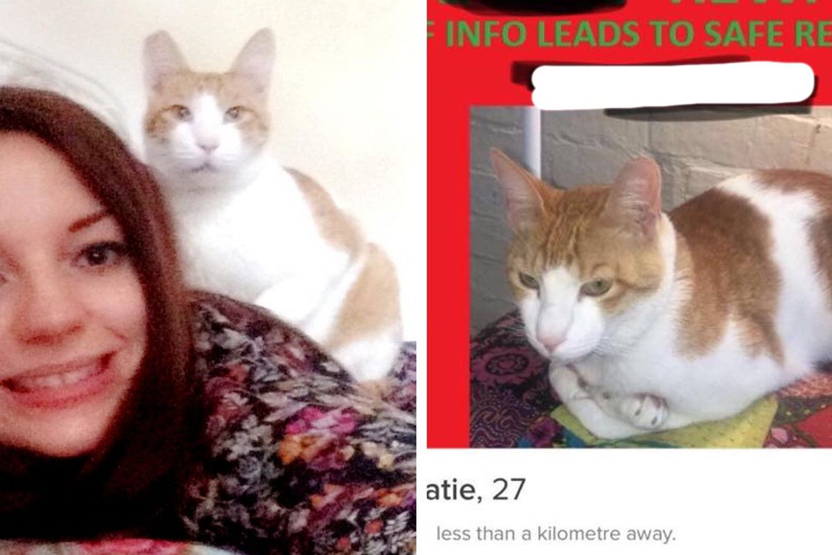 Woman Uses Dating App Tinder to Track Down Her Missing Cat...