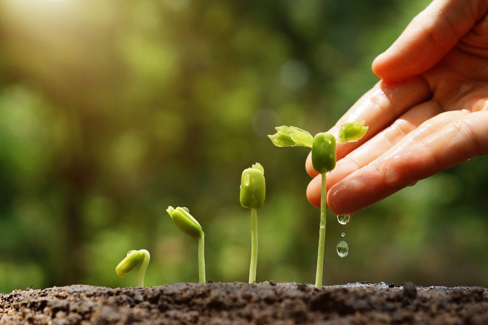 Are you willing to grow with me and independently?