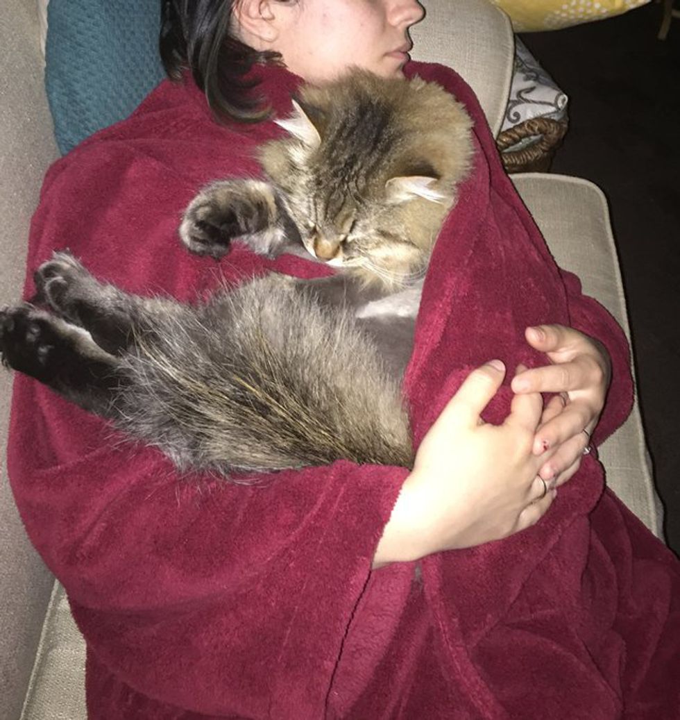 Cat Never Hugged His Mom Starts Cuddling Her Belly They Find Out She S Pregnant In These Adorable Photos Love Meow