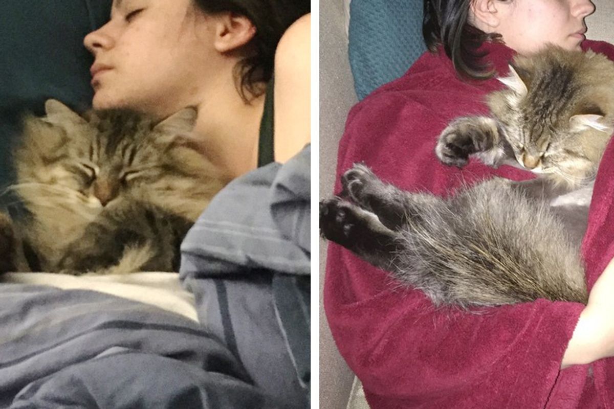 Cat Never Hugged His Mom, Starts Cuddling Her Belly — They Find Out She's Pregnant In These Adorable Photos