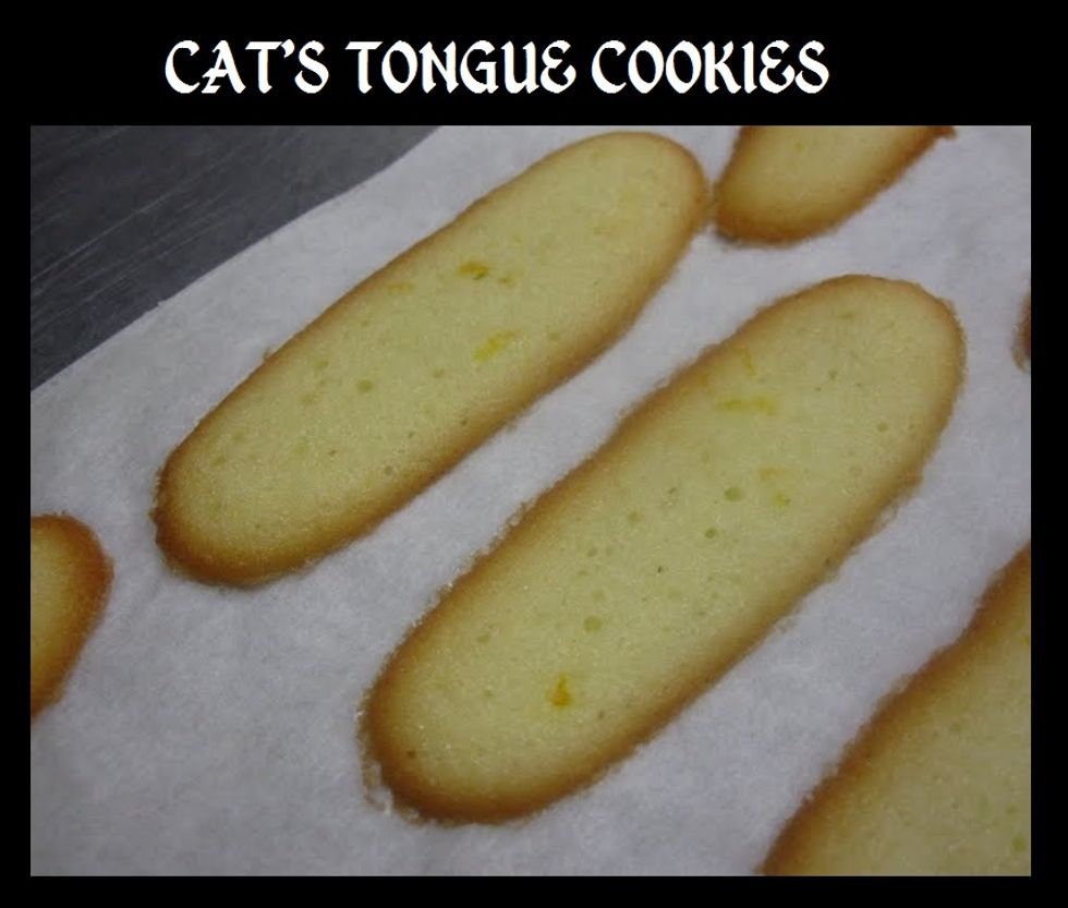 Cat's Tongue Cookies My Recipe Magic