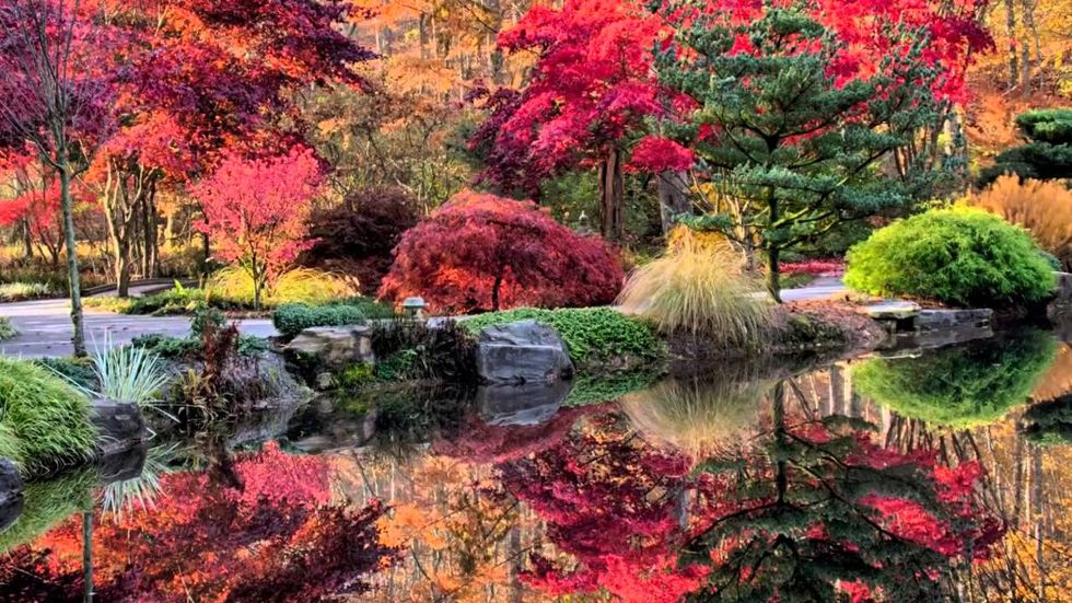 10 Must-Go Places To See Fall Colors In North Georgia