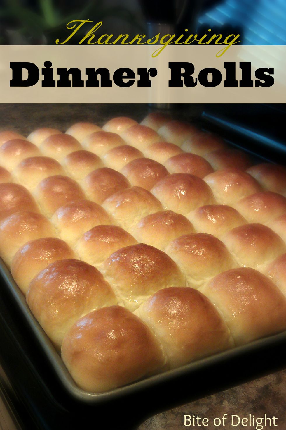 Thanksgiving Dinner Rolls - My Recipe Magic