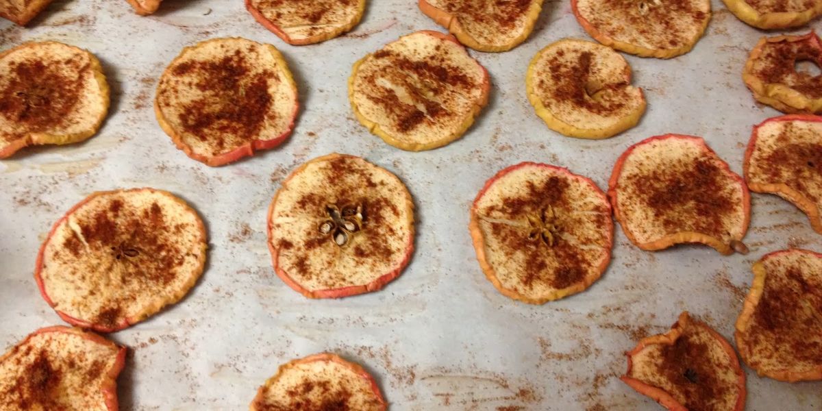 OvenDried Cinnamon Apple Slices My Recipe Magic