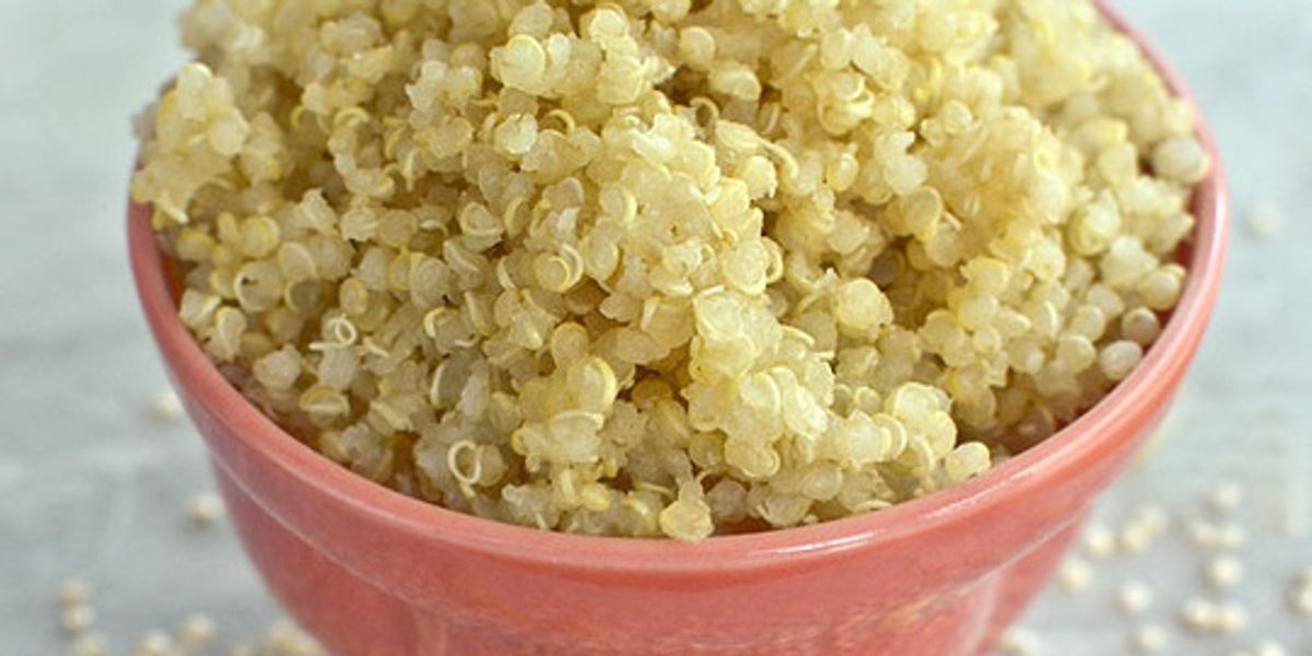 Quinoa Mouse How to cook quinoa the right way - My Recipe Magic