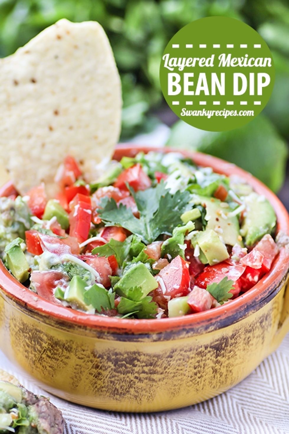 Layered Mexican Bean Dip - My Recipe Magic