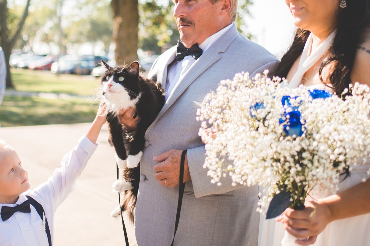 Cat Who Never Leaves His Mom, Walks Her Down the Aisle In These Beautiful Photos