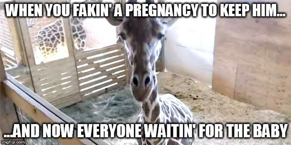 6 April The Giraffe Memes That You Need To See Right Now 5253