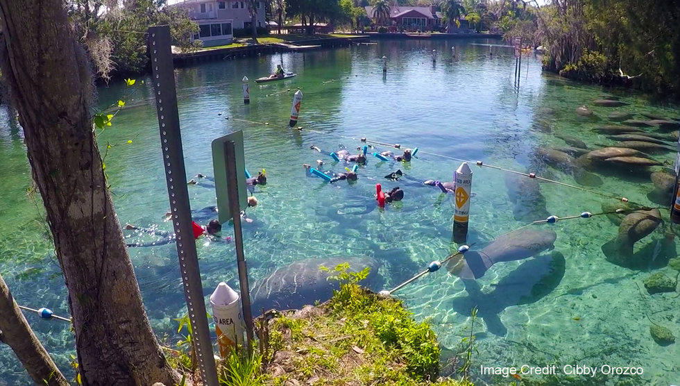 5 Reasons To Visit Three Sisters Springs This Year