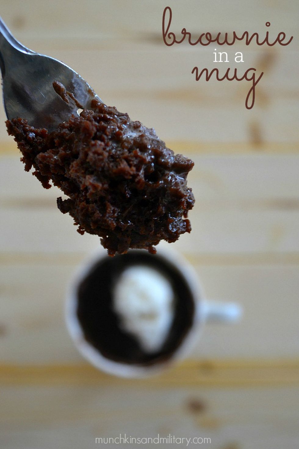 Microwave Mug Brownie - My Recipe Magic