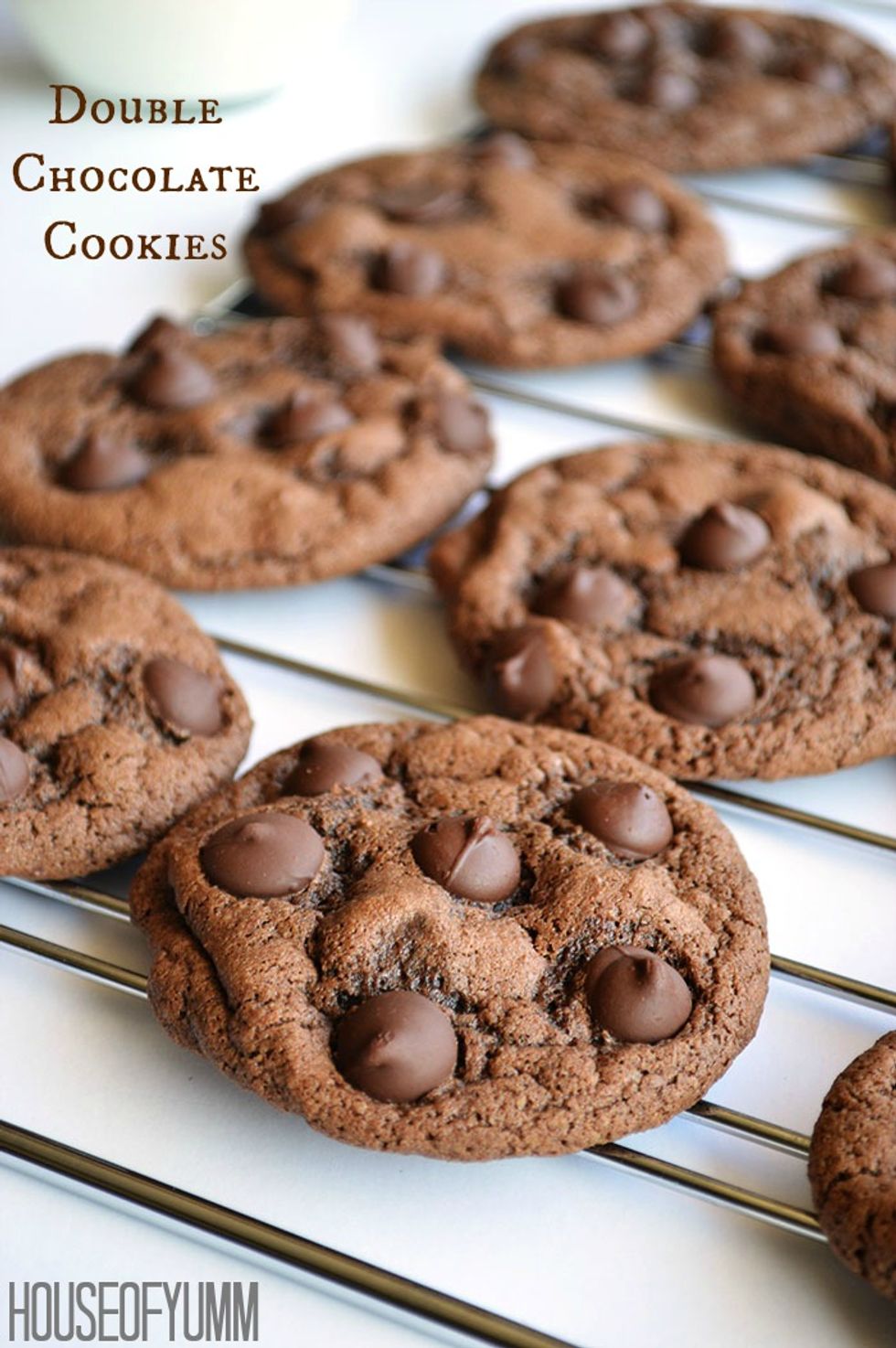 Best Ever Double Chocolate Cookies - My Recipe Magic