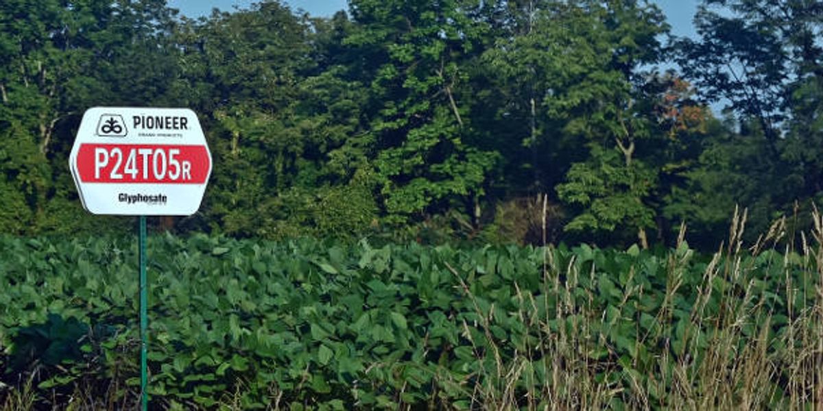 Analysis: Glyphosate exposure trends demand a public health driven response