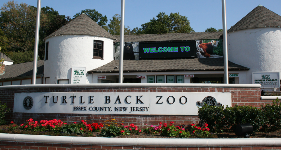4 Fun Things to Do In New Jersey During The Summer