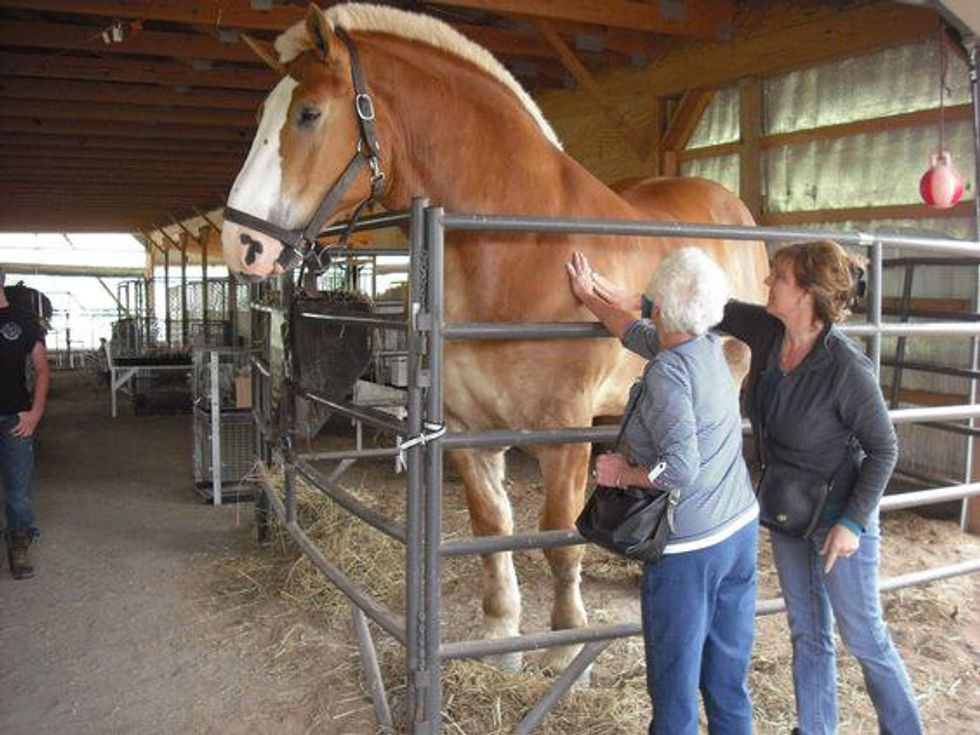 10 Ways You Know You&rsquo;re Ohio, Born and Raised