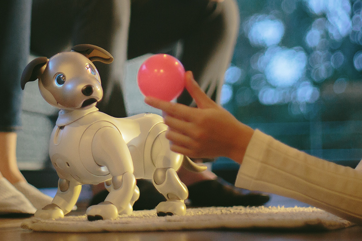 Say hello to Aibo: Sony relaunches robotic dog with new AI tricks