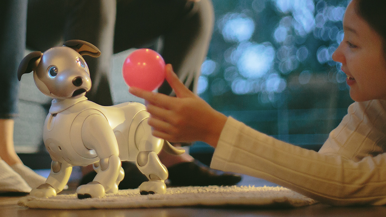 aibo アイボ　ERS-1000 Sony aibo Companion Robot | ERS1000