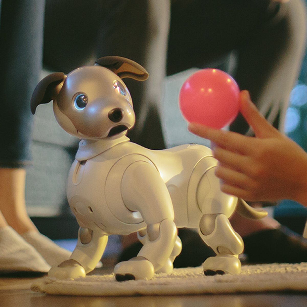 AIBO　ERS-1000 【令和6年8月購入】 AIBO ERS-1000 【令和6年8月購入】 AIBO ERS-1000 【令和6