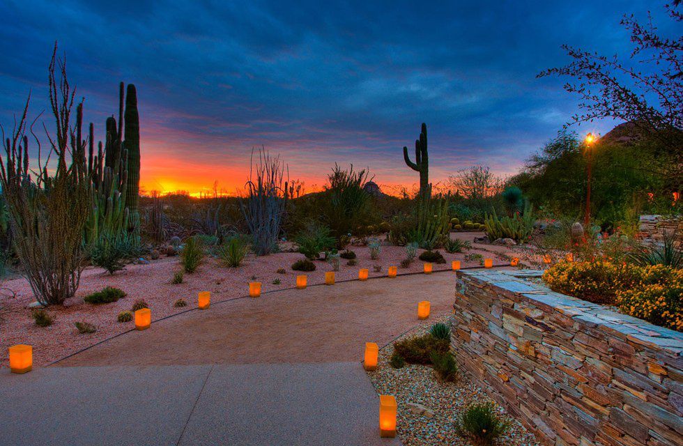 10 Things to Do Over Winter Break in Phoenix, Arizona