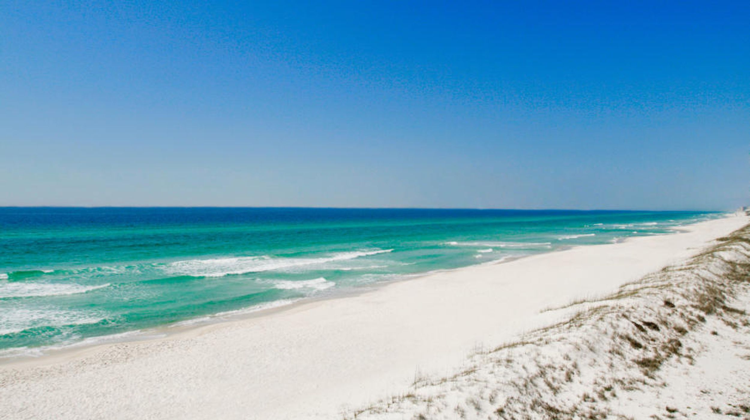 11 Things That Will Happen on Spring Break in Panama City
