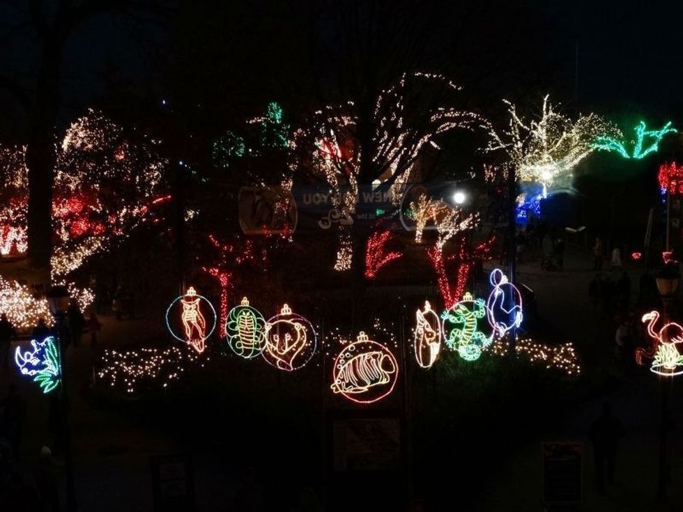 10 Christmas Light Displays In Ohio