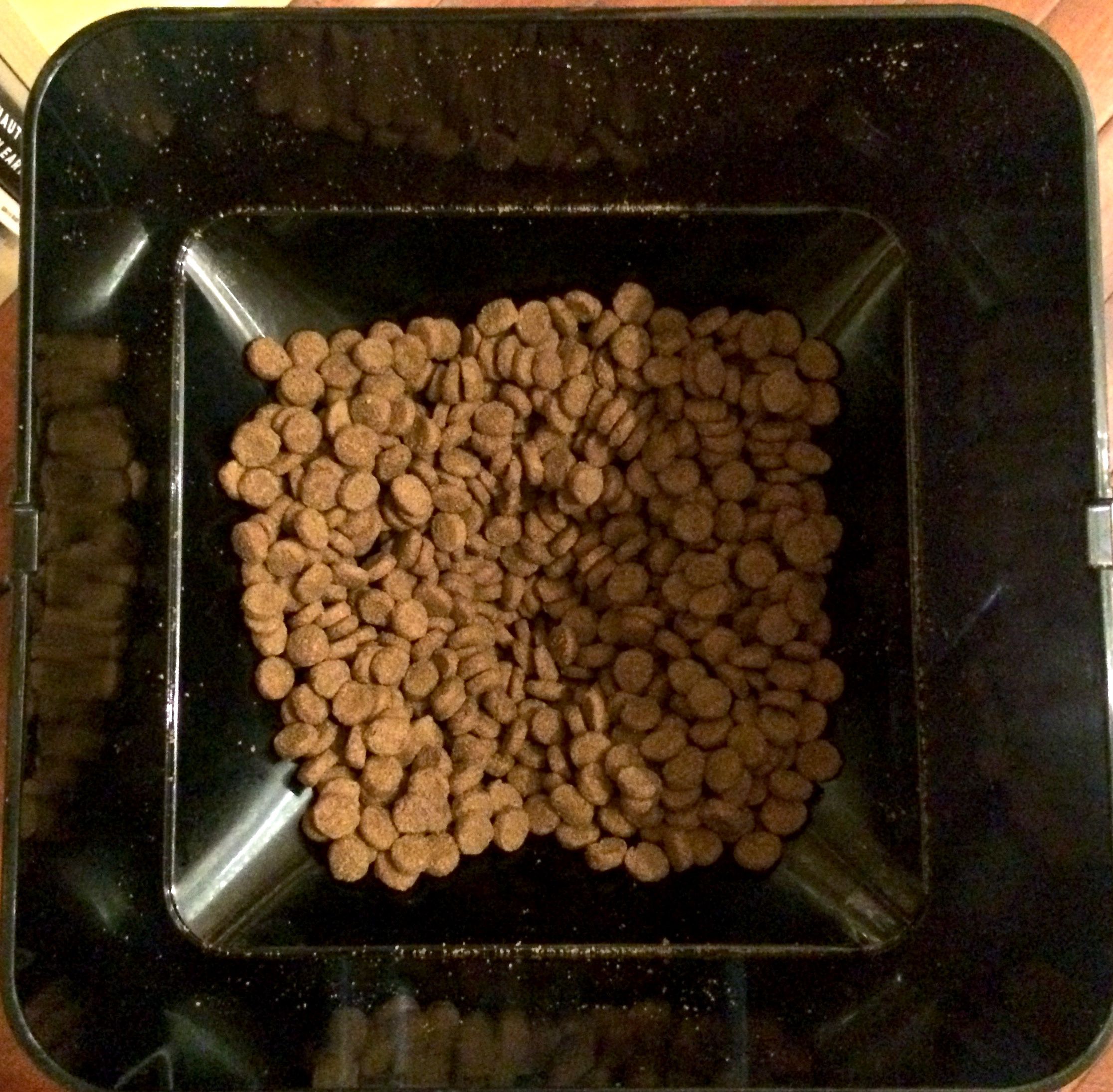 petnet smartfeeder 2.0 review