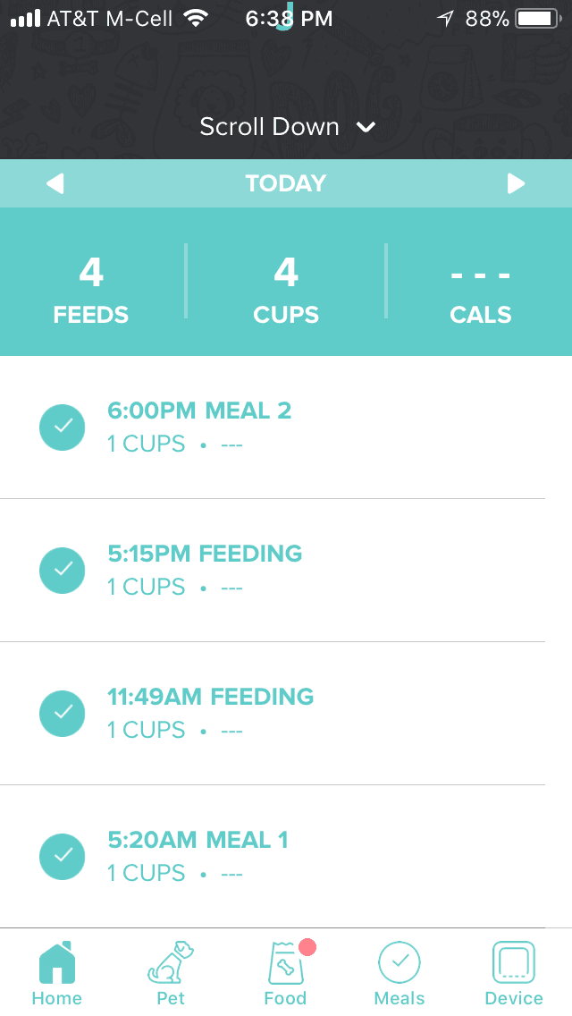 petnet smartfeeder 2.0 review