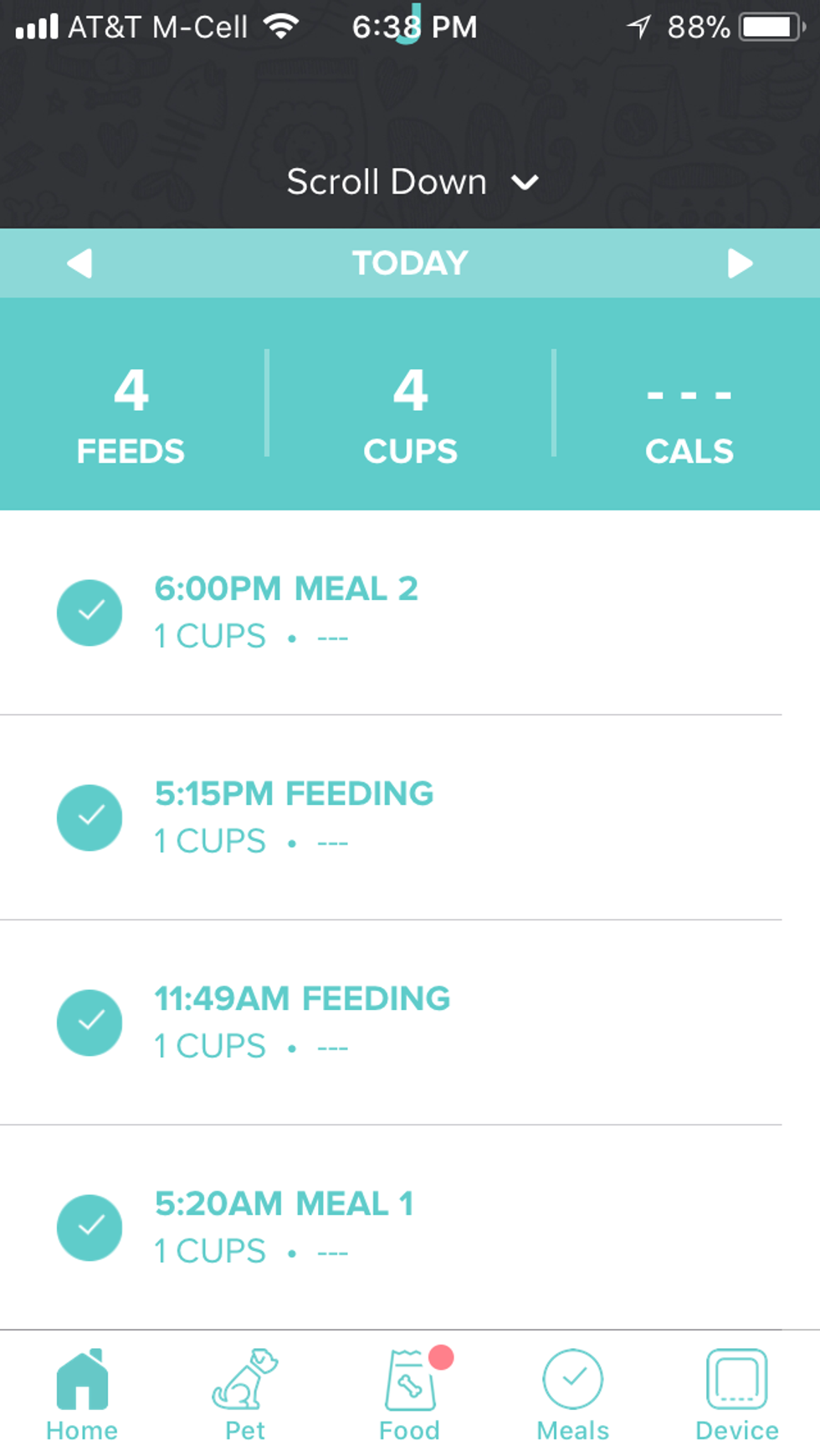 Petnet SmartFeeder review