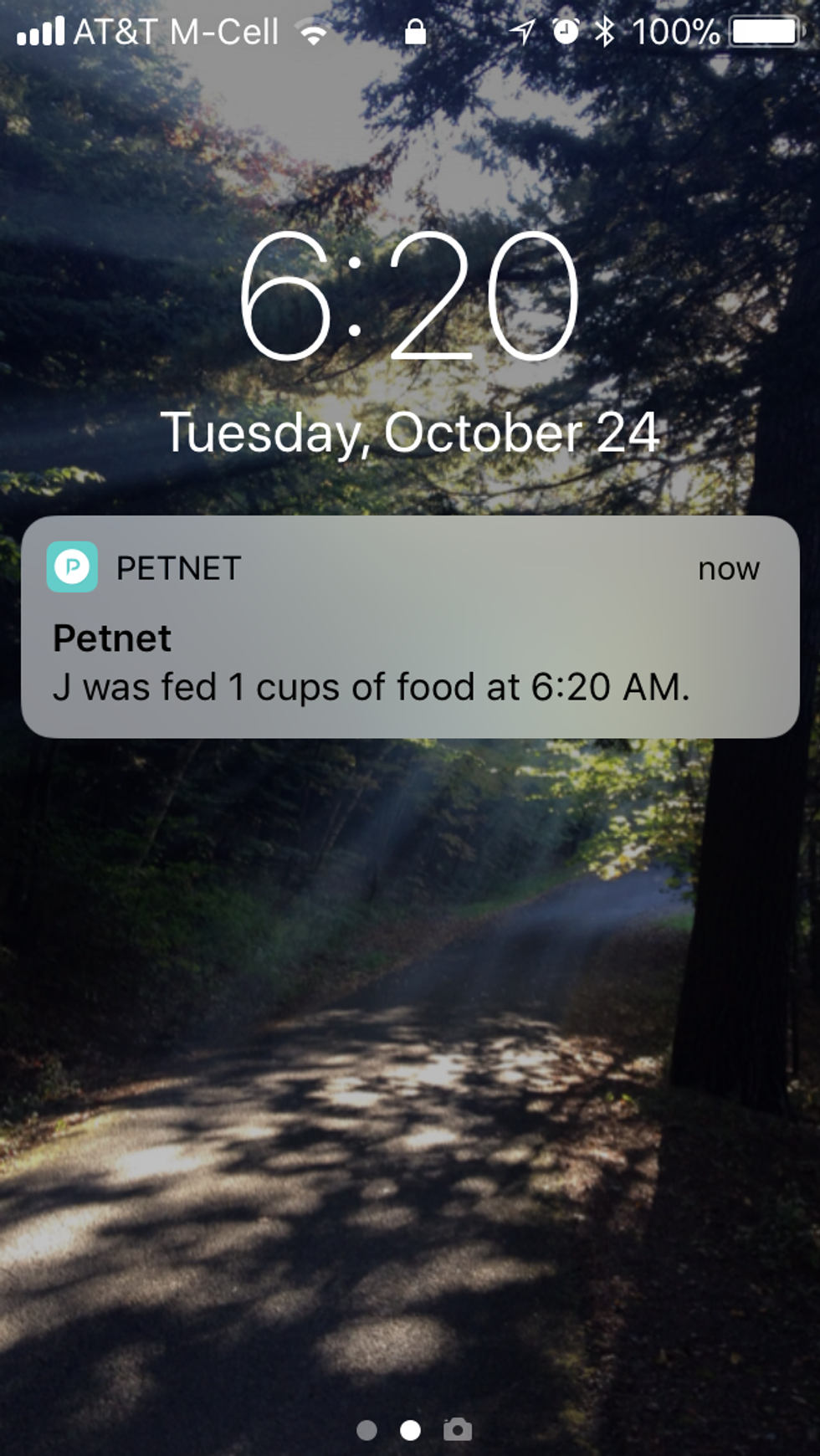 Petnet SmartFeeder