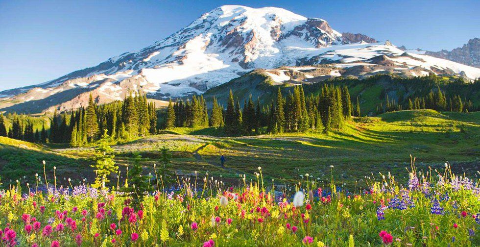 16 Reasons Washington State Is The Worst