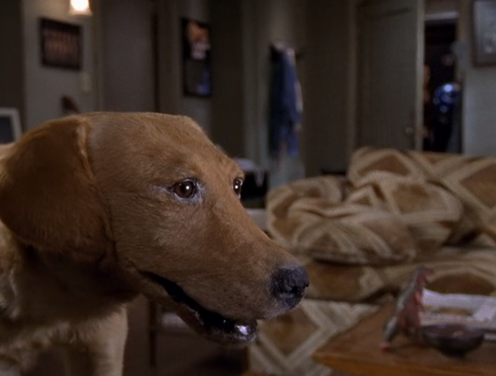 Definitive Proof that Scrubs is Actually the Best Show Ever