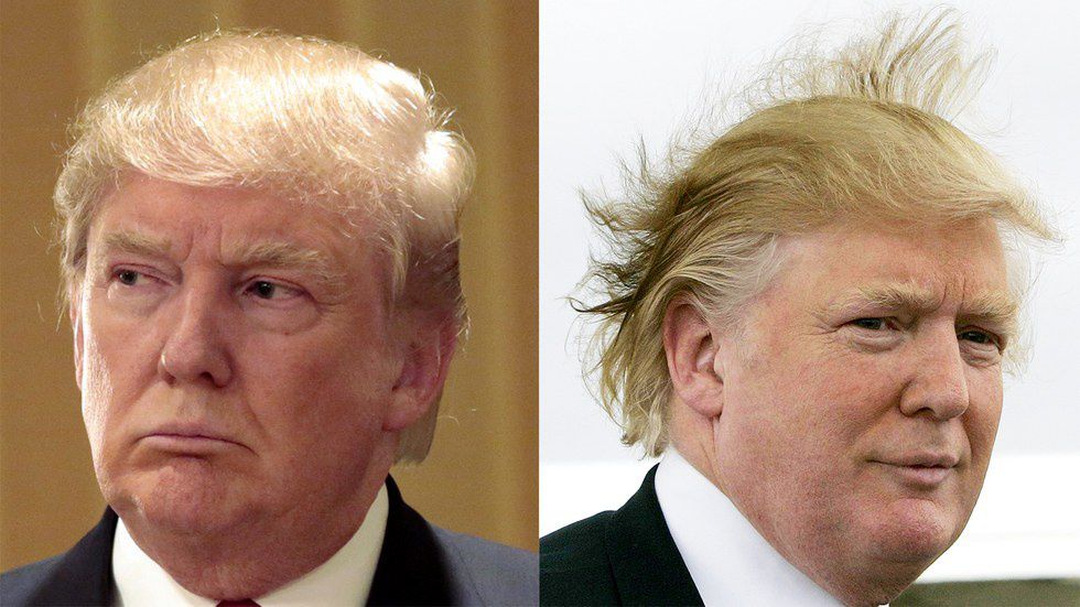 Donald Trump: Hair or Toupee