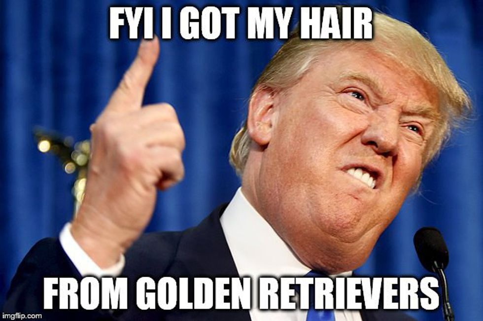 Donald Trump: Hair or Toupee
