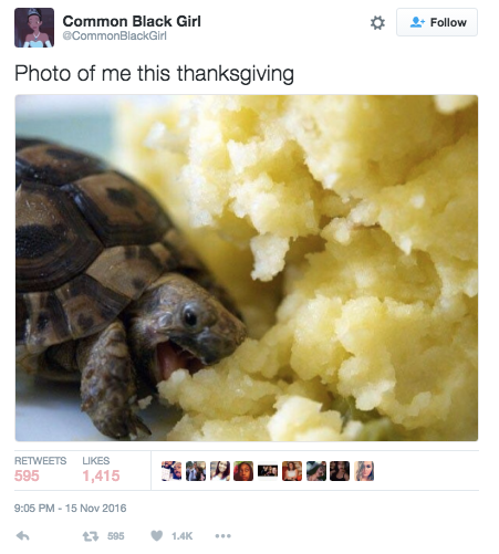 12 Thanksgiving Tweets To Get You Thorough The Week