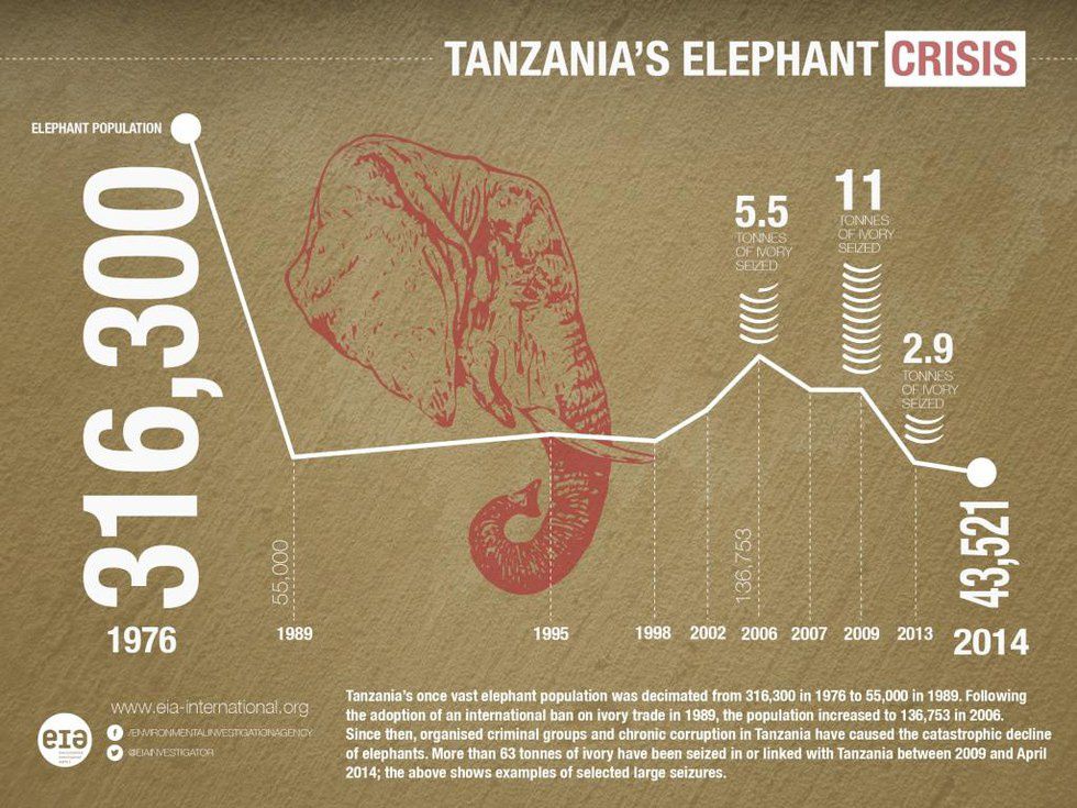 Long Live the African Elephants