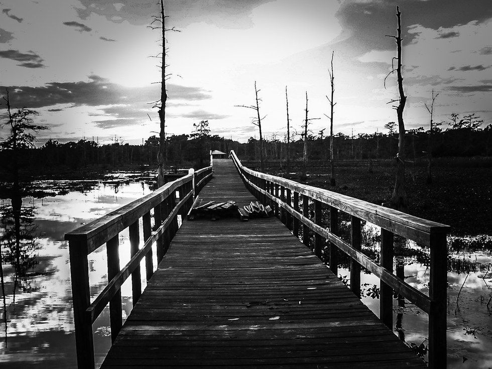 5 Must See Spots In Monroe, LA For All Nature Enthusiasts