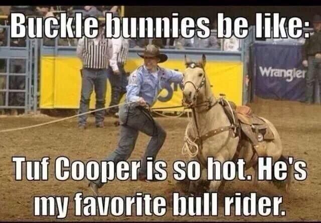 buckle bunny