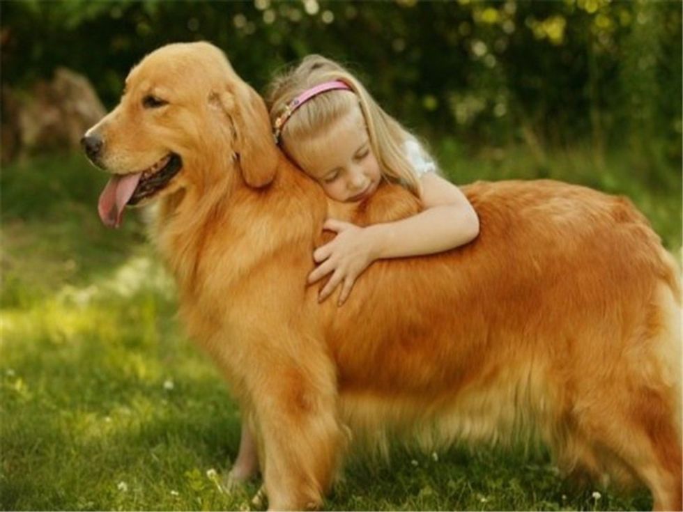 11 Reasons Why Golden Retrievers Are Perfect