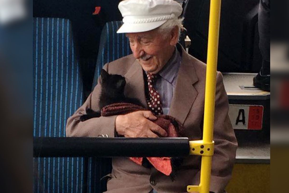 Grandpa Cuddling With Kitten on a Bus Warms Everyone's Heart - Beautiful Photo...