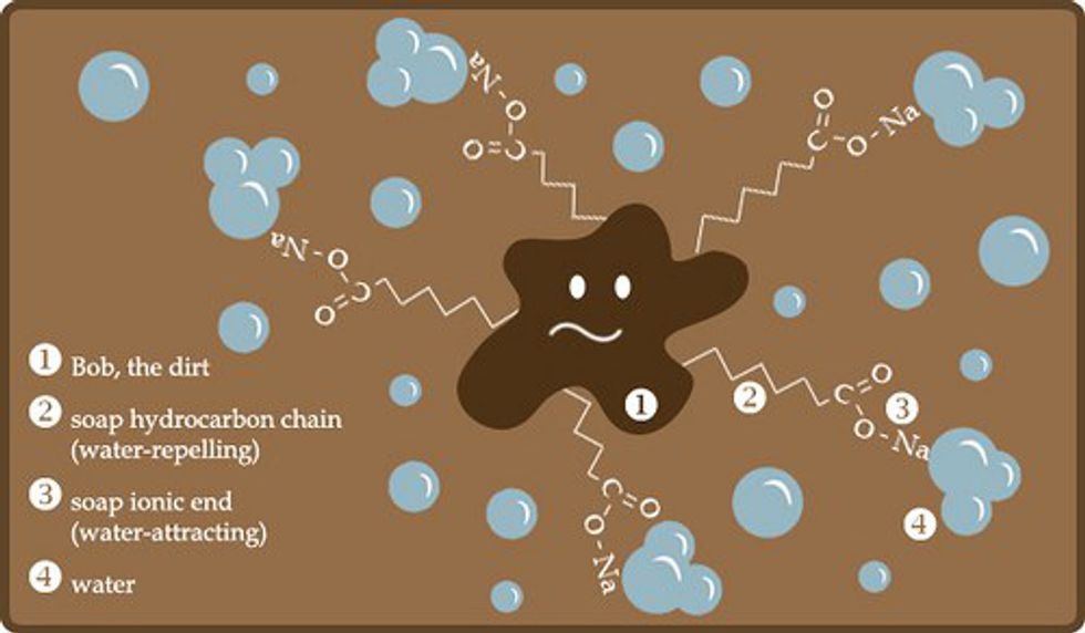 How Does Soap Work?