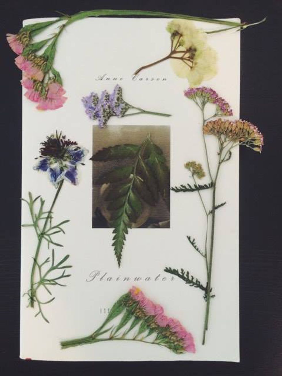 A Simple Guide To Flower Pressing