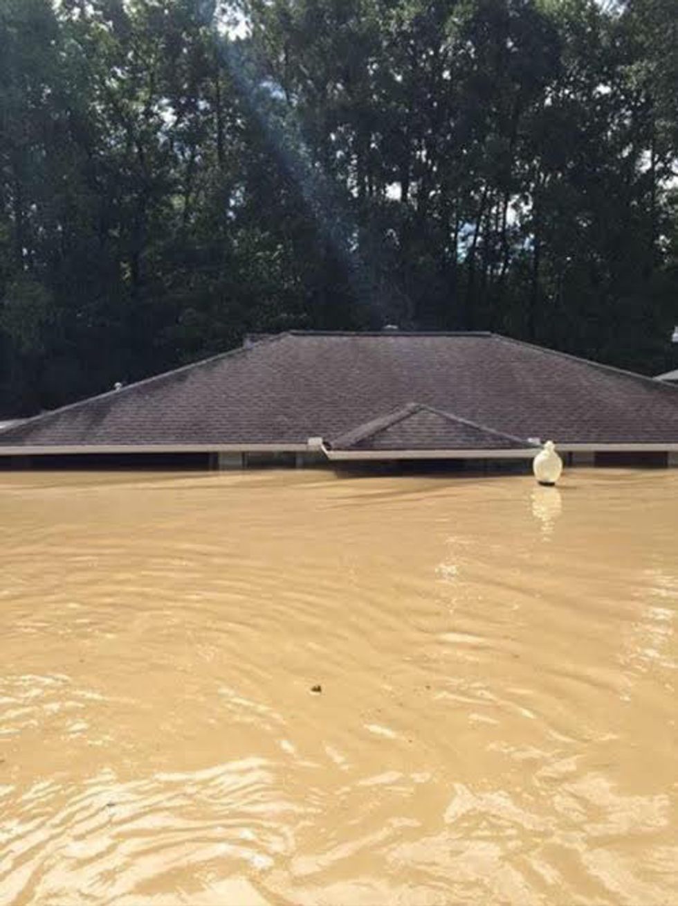 A True Story Of Survival Baton Rouge Great Flood of 2016