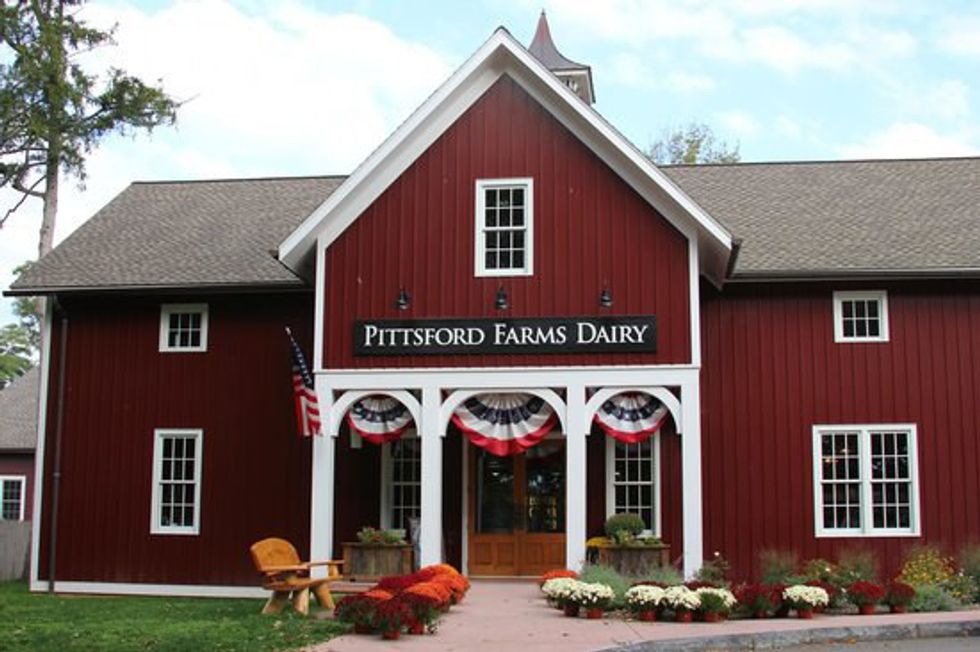 Top Five Ice Cream Places in Rochester, NY