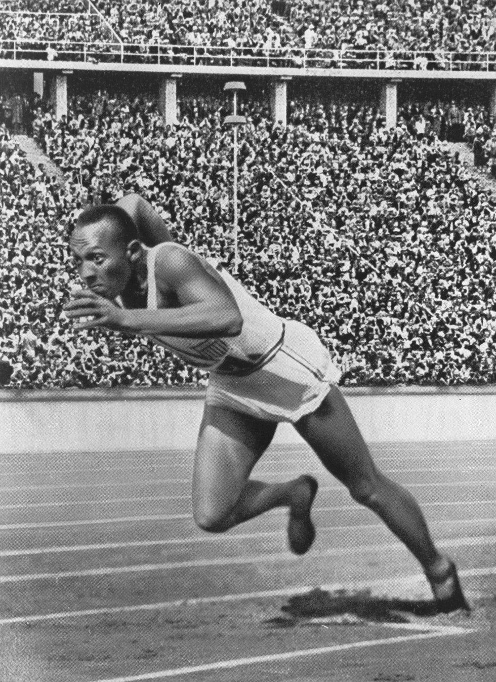 triumph the untold story of jesse owens triumph the untold story of jesse owens