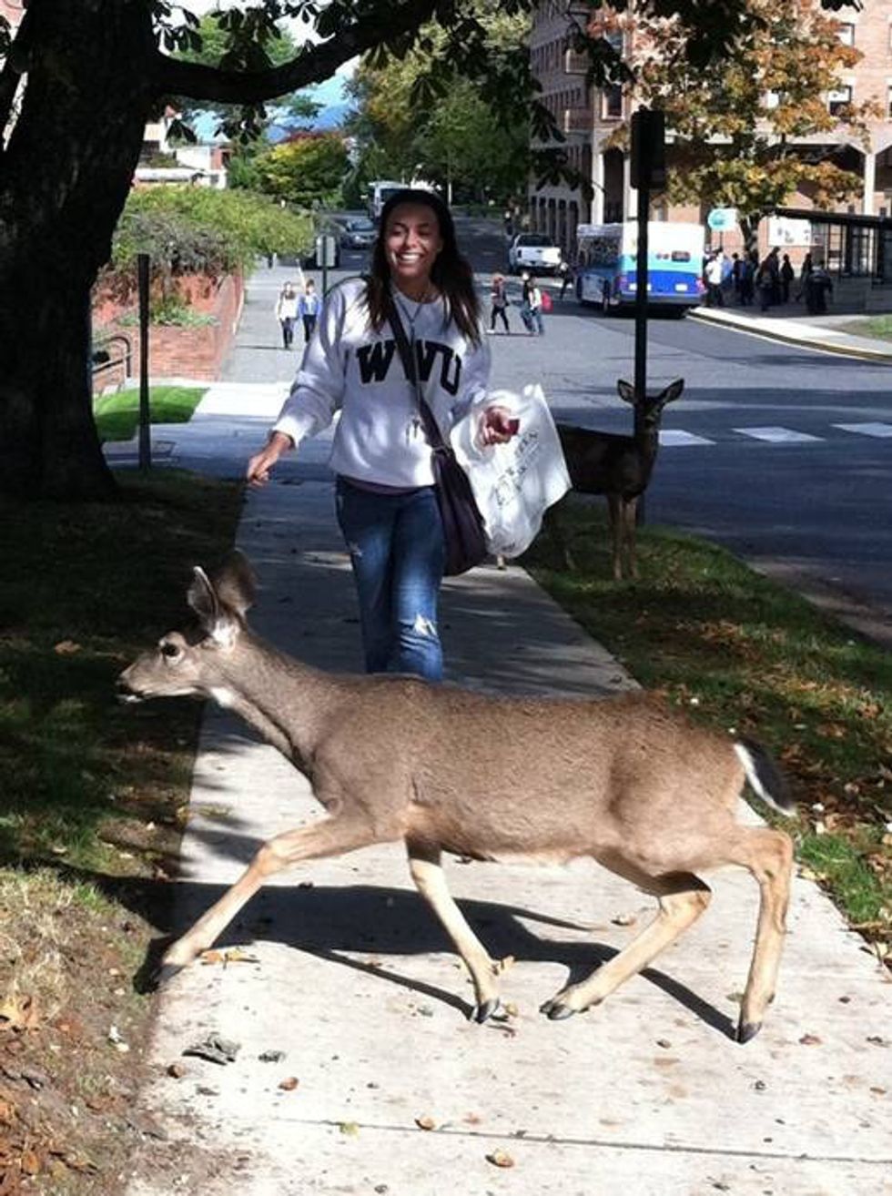 An Ode To Bellingham's Animal Life