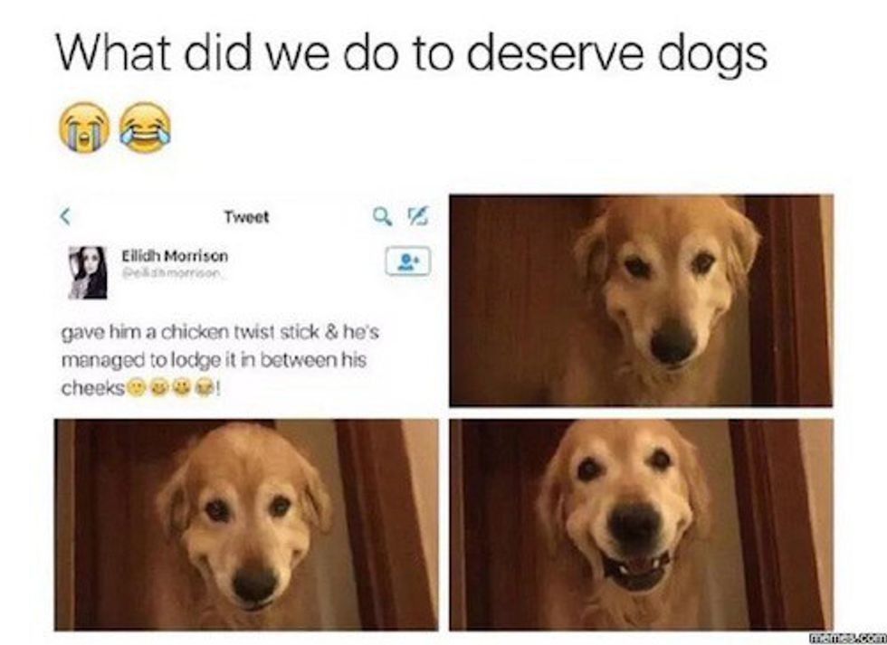 Why We Don't Deserve Dogs