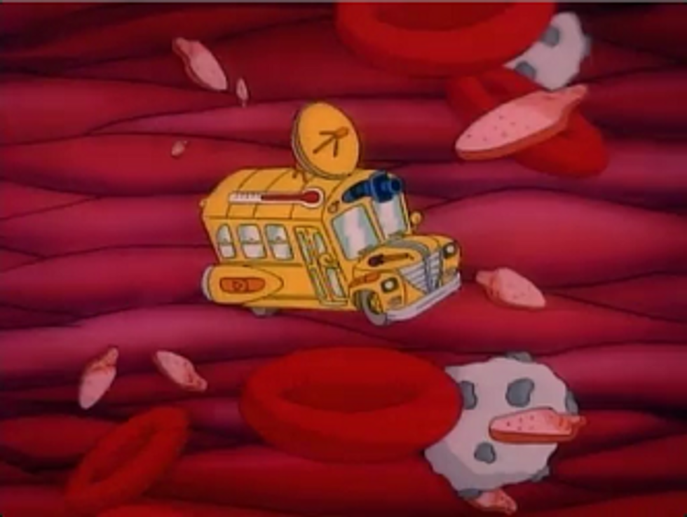 Mysteries Surrounding 'The Magic School Bus' Explored